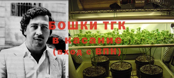 гидропоника Белокуриха