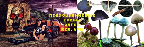 прущая мука Беломорск