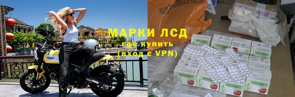 прущие грибы Белоозёрский