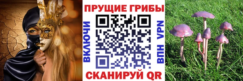 Псилоцибиновые грибы Magic Shrooms  Краснообск 